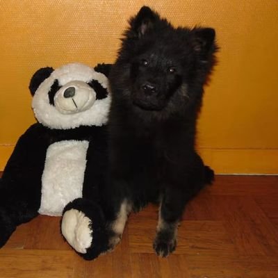 Louve3034's profile picture. 