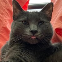 Emily B (@slognugget) 's Twitter Profile Photo Emily B (@slognugget) 's Twitter Profile Photo