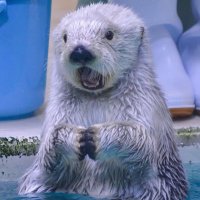 β
Λββ§ J.J.π β§βΛ β
(@stinkyboyswag) 's Twitter Profile Photo β
Λββ§ J.J.π β§βΛ β
(@stinkyboyswag) 's Twitter Profile Photo