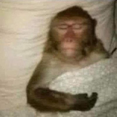 യ𝚗𝚊𝚒𝚗𝚊𝚢ෆ🧸˚༘さんのプロフィール画像