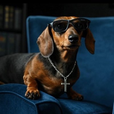 afonsoxav's profile picture. Crypto Investor