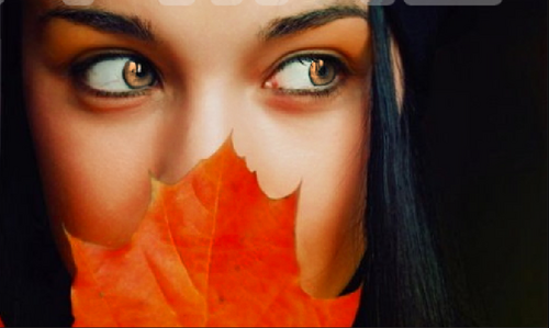 rainxflame's profile picture. Hey Guys!!! Im Rain Flame and I love chocolate XD