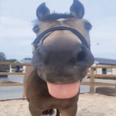 Back on twitter, sadly / Fan of Soundgarden, SOAD, RATM / 🇦🇲🇵🇸🇺🇦 / RHP 🐴 💛 GGST VENMO WANTER 🎱 🎸