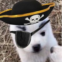 어묵 (@onpga) 's Twitter Profile