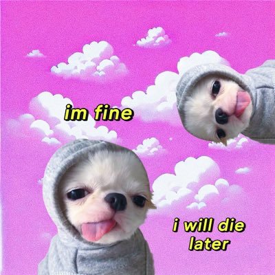 MiniManyJung Profile Picture