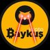 Baykuş (@kriptobaykusv2) Twitter profile photo Baykuş (@kriptobaykusv2) Twitter profile photo