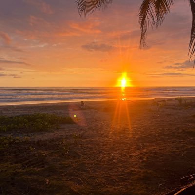 FelAng65's profile picture. 