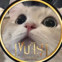 𐐪𝐳𝒆𝒂𝒏𝒈𐑂 (@zeang_z) 's Twitter Profile Photo 𐐪𝐳𝒆𝒂𝒏𝒈𐑂 (@zeang_z) 's Twitter Profile Photo