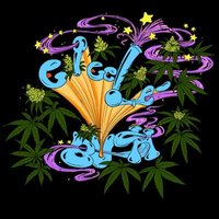 Mr. Giggle-Bush (@mrgiggle_bush) 's Twitter Profile