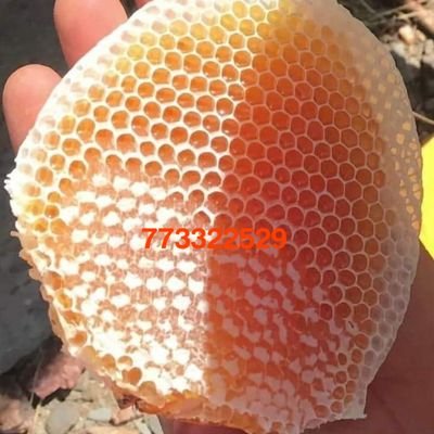 BdDhan73949's profile picture. 733335281