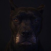 byf.sol (@_b_y_f_) 's Twitter Profile Photo byf.sol (@_b_y_f_) 's Twitter Profile Photo