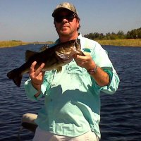 Patriot Dave (@davidb44263) 's Twitter Profile