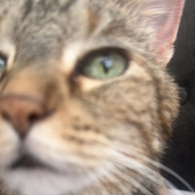 CLRLFC12's profile picture. #YMWA🔴