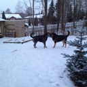 Gunilla Andersson - @GunillaAnderss6 - Twitter