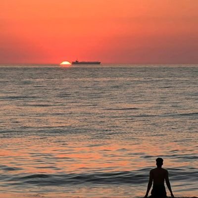 holako661's profile picture.