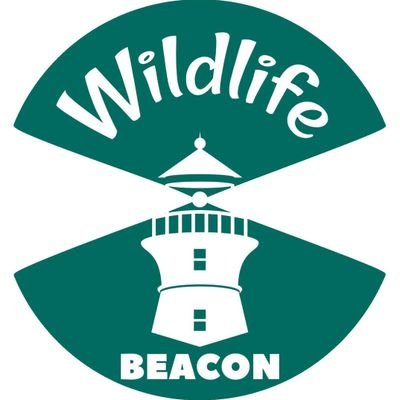 Wildlife travel and conservation. Shining a light on community-led success stories, rewilding triumphs and sustainable practices that support animals and people