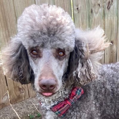 Lminchew08L's profile picture. 