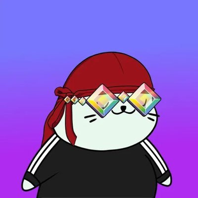 pixlmaxi's profile picture. 