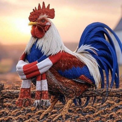 lemikePRG's profile picture. Aime la France sincèrement malgré ces représentants.