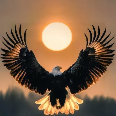 Tariqbnsaad1's profile picture. I Stan Manchester city. diplomat.🇶🇦🇳🇬