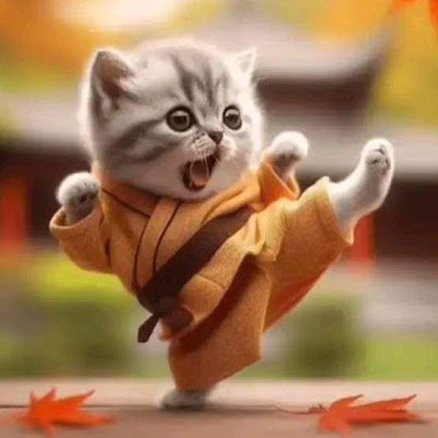 virtual7260's profile picture. 