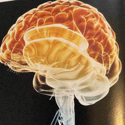 Aphasiaie1's profile picture. App Program for Aphasia/Dementia
Seeks the TRUTH  Loves CHRIST