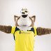 Tempo the Coyote (@tempo_nsc) Twitter profile photo Tempo the Coyote (@tempo_nsc) Twitter profile photo