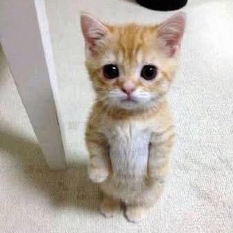 AmrowayH's profile picture. Laugh studio