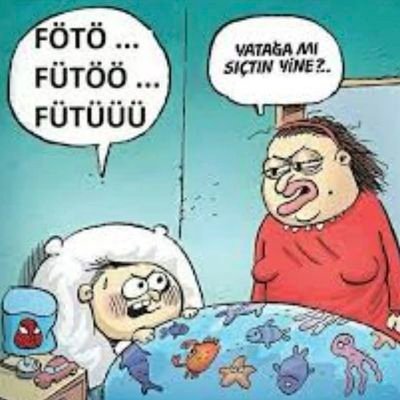 Anka352351's profile picture. 