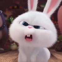 .natalia_shsh. (@n4tal1ax) 's Twitter Profile
