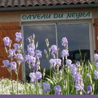 ElisabethLaffay's profile picture. Philippe et moi sommes viticulteurs en #Beaujolais. 
Faire ce que l'on aime, c'est être libre. Aimer ce que l'on fait, c'est être heureux.
#FrAgTw #humour