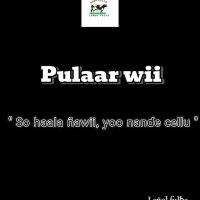 Peulh sans frontières 🇸🇳🇲🇷🇲🇱🇬🇳🌍 (@sowsadio55) 's Twitter Profile
