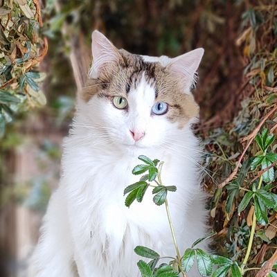 LuckyDarkEyes's profile picture. Keyboardkiller en pausa.
Procrastinando 🐮
Desde el 31-12-22: Señora mamá de... 😁
Bloqueo zionistas