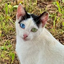 julia9fl's profile picture. 