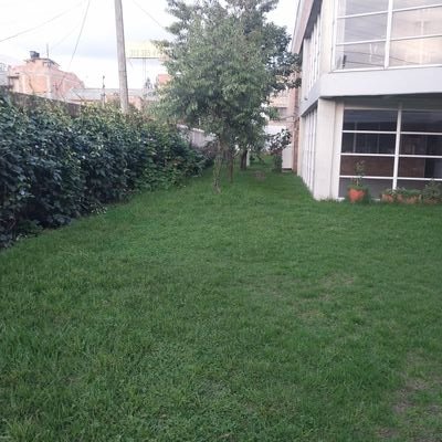 Green walking | God is good | balance | member of @idmjioficial | I watch news of @fimlm