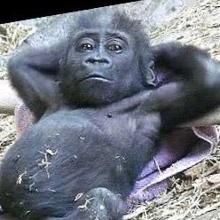 TBBCV2's profile picture. 22M 6’2 looking for beautiful women to meet with in Northern Utah