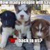 Limbro animal shelter (@lshelter8965) Twitter profile photo Limbro animal shelter (@lshelter8965) Twitter profile photo