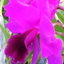 Marion Lang - @mairbear1707 - Twitter