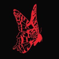 Hyacinth (@hyacinth19711) 's Twitter Profile Photo Hyacinth (@hyacinth19711) 's Twitter Profile Photo