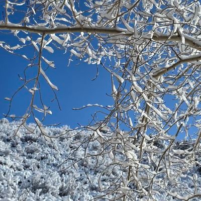 deckard73685's profile picture. 