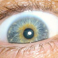 tim harris (@timolotus1972) 's Twitter Profile Photo