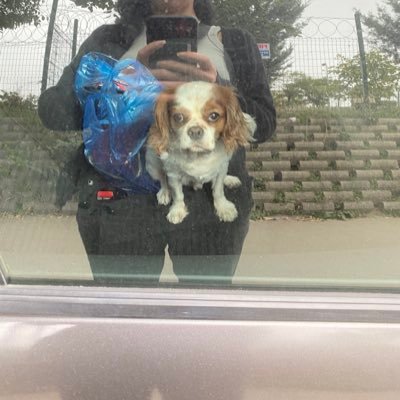 boudician's profile picture. https://t.co/QZ1e1mjCRD