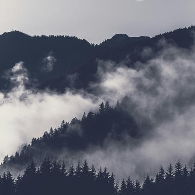 freditheman's profile picture. 
