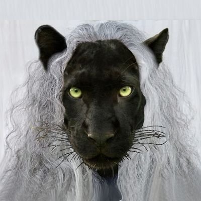 ¡Qué mal repartido está el mundo!
Mi pareja dice que a ella le ha tocado el tonto.

Todo lo que hago es con respeto y sin mala uva
No sigo por reciprocidad