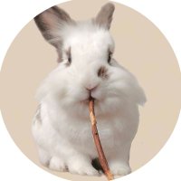 もってぃ (@motimoti_mottei) 's Twitter Profile Photo