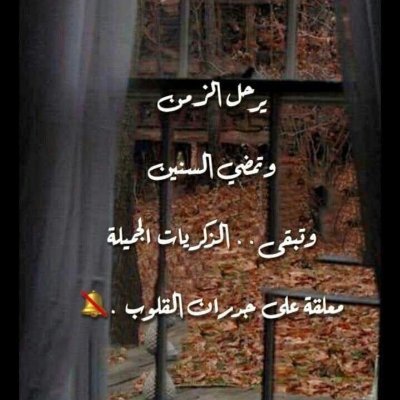 كلما اعتقد أني تعلمت شيئاً، اكتشف أني أجهل أضعافه