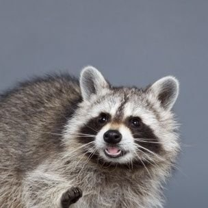 동동さんのプロフィール画像