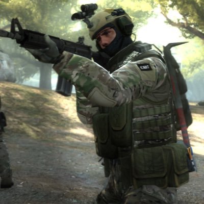 heggchog's profile picture. counterstrike trader and player