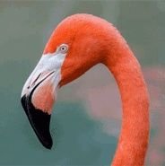 outis169's profile picture. A respectable lunatic. Bench car seat respecter.