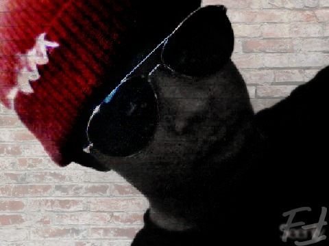 FRESHLIFEFLEA's profile picture. Fresh Fellas aye hi!! but im part of The Fraternity.